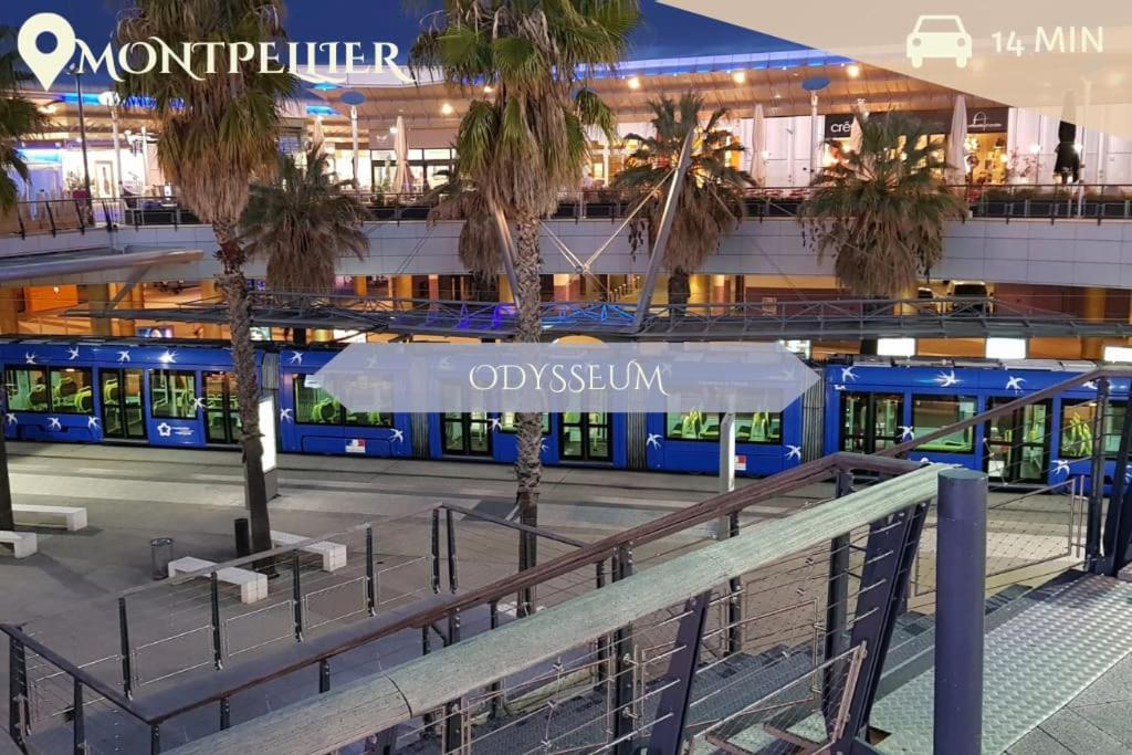 016- T2 Tropisme, Appart 1 Chambre,Clim,Wifi,Parking Montpellier Exterior foto